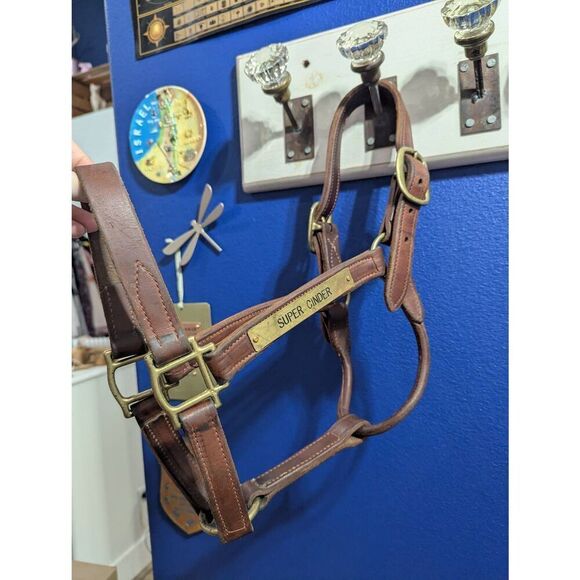 Leather Thoroughbred RaceāHorse Halter - Picture 2 of 9
